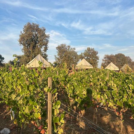 Lago Valle Wine Glamping Valle de Guadalupe Buitenkant foto
