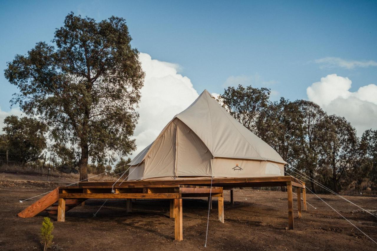 Lago Valle Wine Glamping Valle de Guadalupe Buitenkant foto