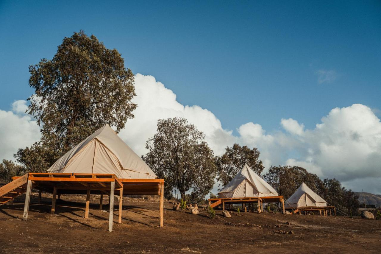Lago Valle Wine Glamping Valle de Guadalupe Buitenkant foto