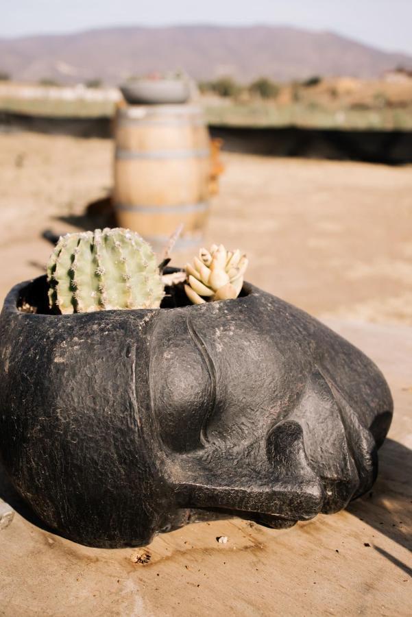 Lago Valle Wine Glamping Valle de Guadalupe Buitenkant foto