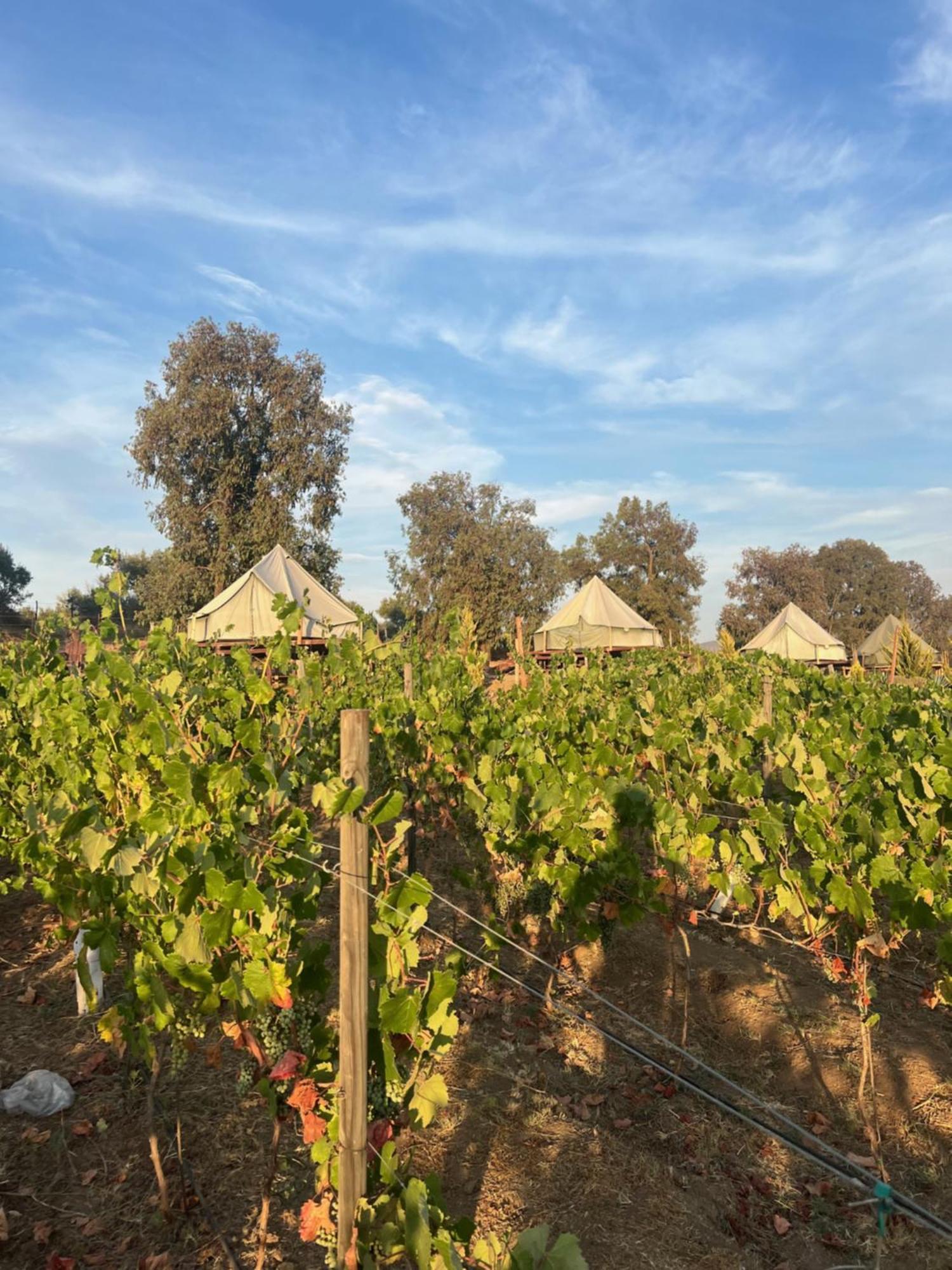 Lago Valle Wine Glamping Valle de Guadalupe Buitenkant foto